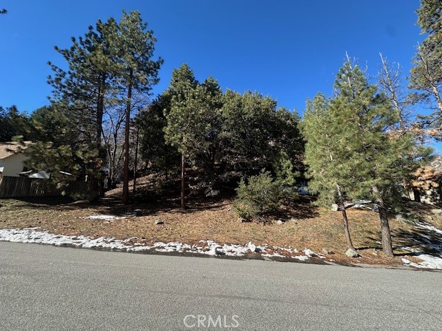 Detail Gallery Image 4 of 11 For 0 Flume Canyon, Wrightwood,  CA 92397 - – Beds | – Baths