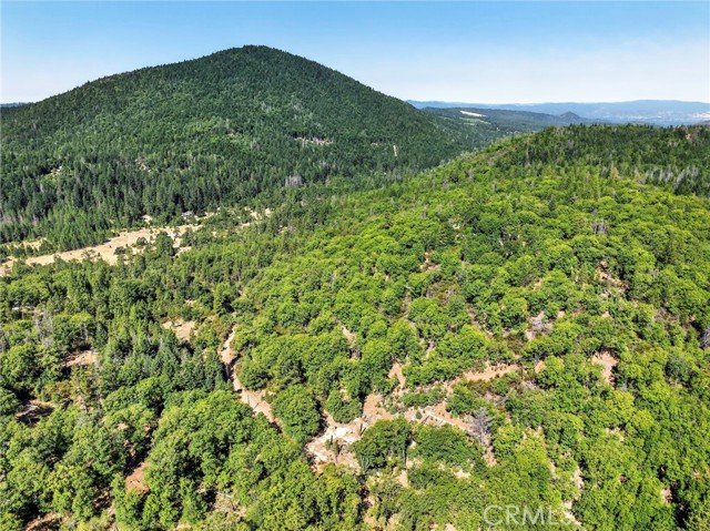 10182 Diener Drive, Kelseyville CA: https://media.crmls.org/medias/ebb7e7b0-8566-42b7-8c26-ad8a4a2122cf.jpg