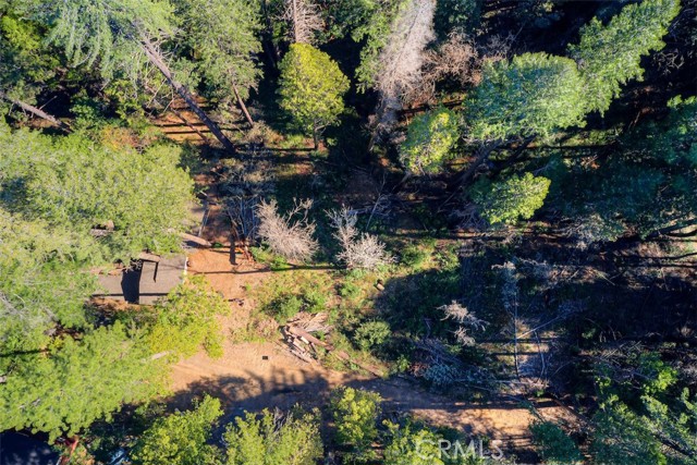 Detail Gallery Image 21 of 52 For 0 Toyon Trl, Berry Creek,  CA 95916 - – Beds | – Baths