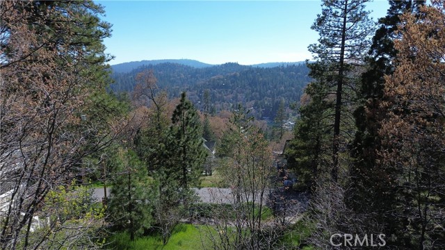 Detail Gallery Image 7 of 22 For 0 Alpen Dr, Lake Arrowhead,  CA 92352 - – Beds | – Baths