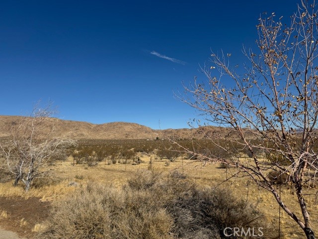 Detail Gallery Image 41 of 46 For 29595 Cove Rd, Lucerne Valley,  CA 92356 - 3 Beds | 2 Baths