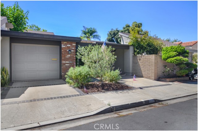 Front Image Thumbnail for CROC25259805