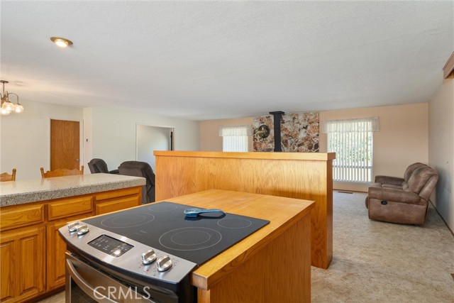 Detail Gallery Image 16 of 62 For 4830 Fruitland Rd, Loma Rica,  CA 95901 - 3 Beds | 2 Baths