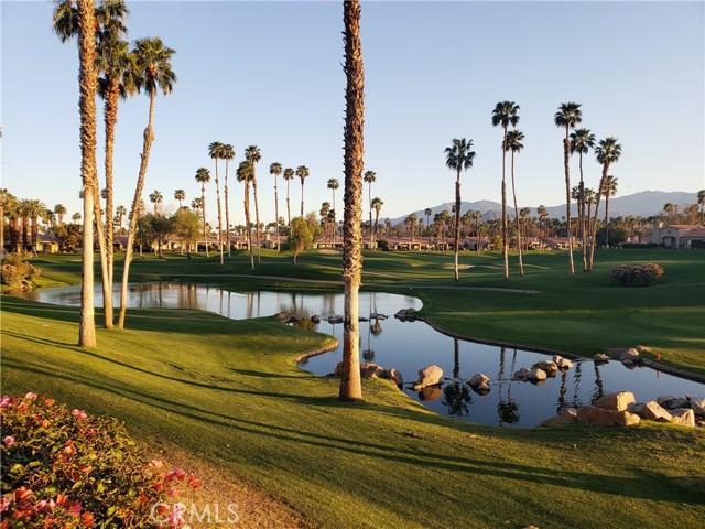 Detail Gallery Image 1 of 43 For 38453 Nasturtium Way, Palm Desert,  CA 92211 - 3 Beds | 2/1 Baths