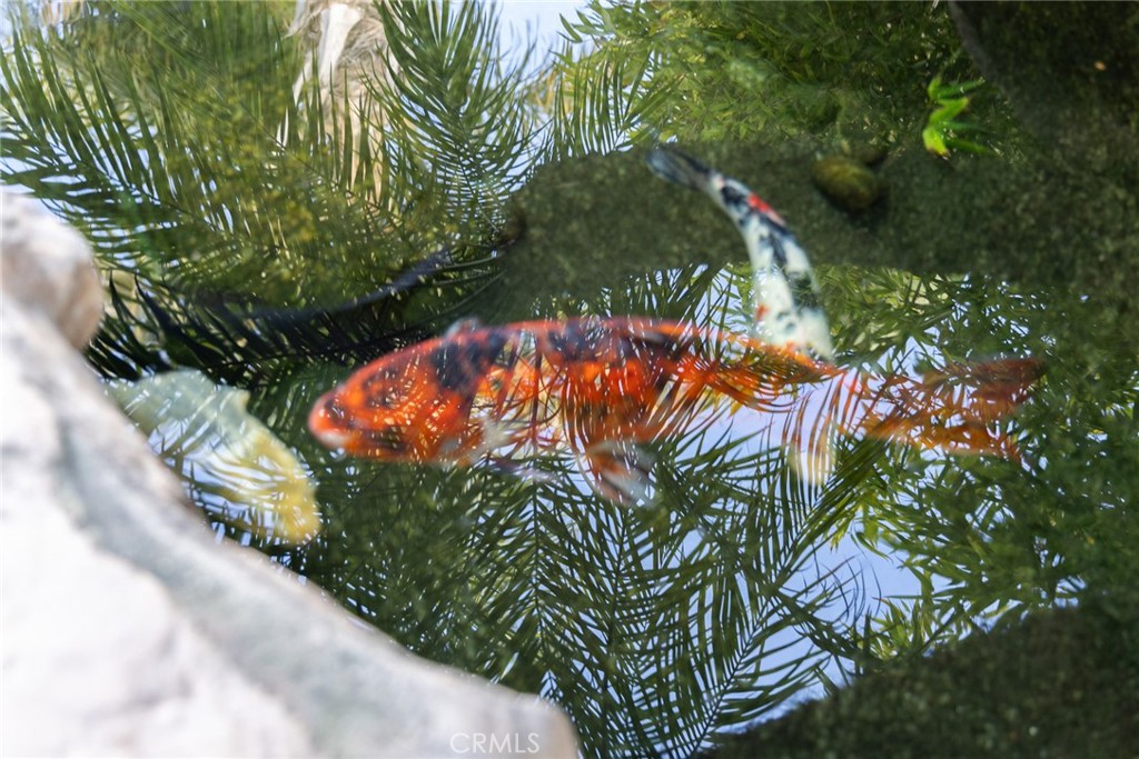 https://media.crmls.org/medias/ebdfcaef-1006-4fd4-ac38-25d58486abca.jpg?preset=X-Large