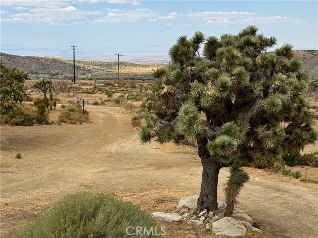 Detail Gallery Image 44 of 46 For 28714 Cruthers Creek Rd, Pearblossom,  CA 93553 - 4 Beds | 3 Baths