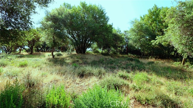 Detail Gallery Image 5 of 6 For 9523 Tenaya Way, Kelseyville,  CA 95451 - – Beds | – Baths