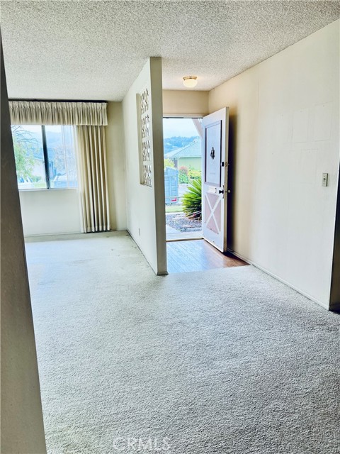 113 Sandra Court photo 8