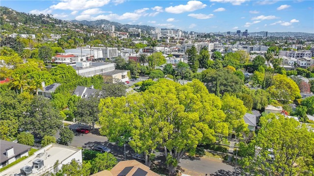 Detail Gallery Image 58 of 60 For 1434 N Genesee Ave, Los Angeles,  CA 90046 - 5 Beds | 2 Baths