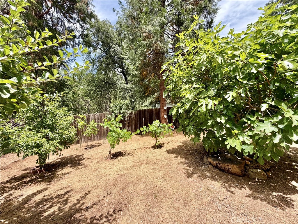 https://media.crmls.org/medias/ec0f24a2-02ce-4889-8bb4-e6a9e06f7119.jpg?preset=X-Large