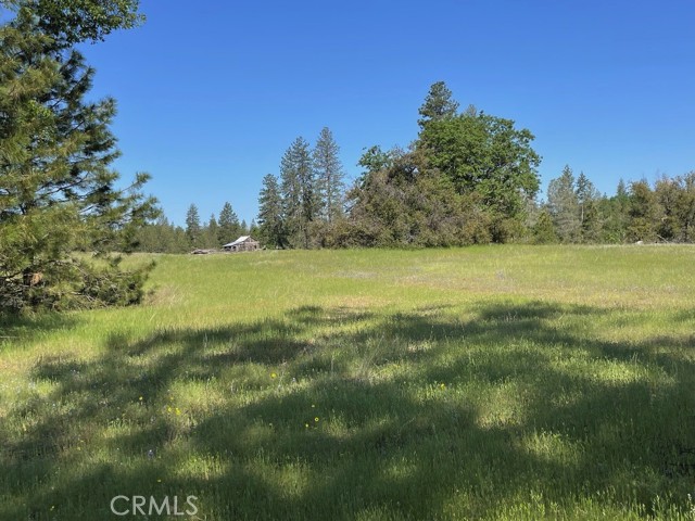 2964 Triangle Road, Mariposa CA: https://media.crmls.org/medias/ec14f3e5-f9fd-41b9-b64a-e75adb8df7ee.jpg