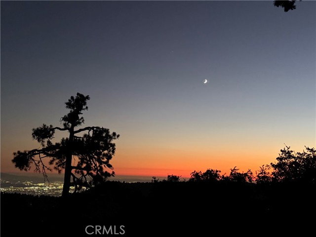 Detail Gallery Image 2 of 19 For 25515 True, Twin Peaks,  CA 92391 - 2 Beds | 2 Baths