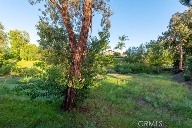 Detail Gallery Image 45 of 56 For 10 Valley Crest Rd, Simi Valley,  CA 93065 - 3 Beds | 2/1 Baths