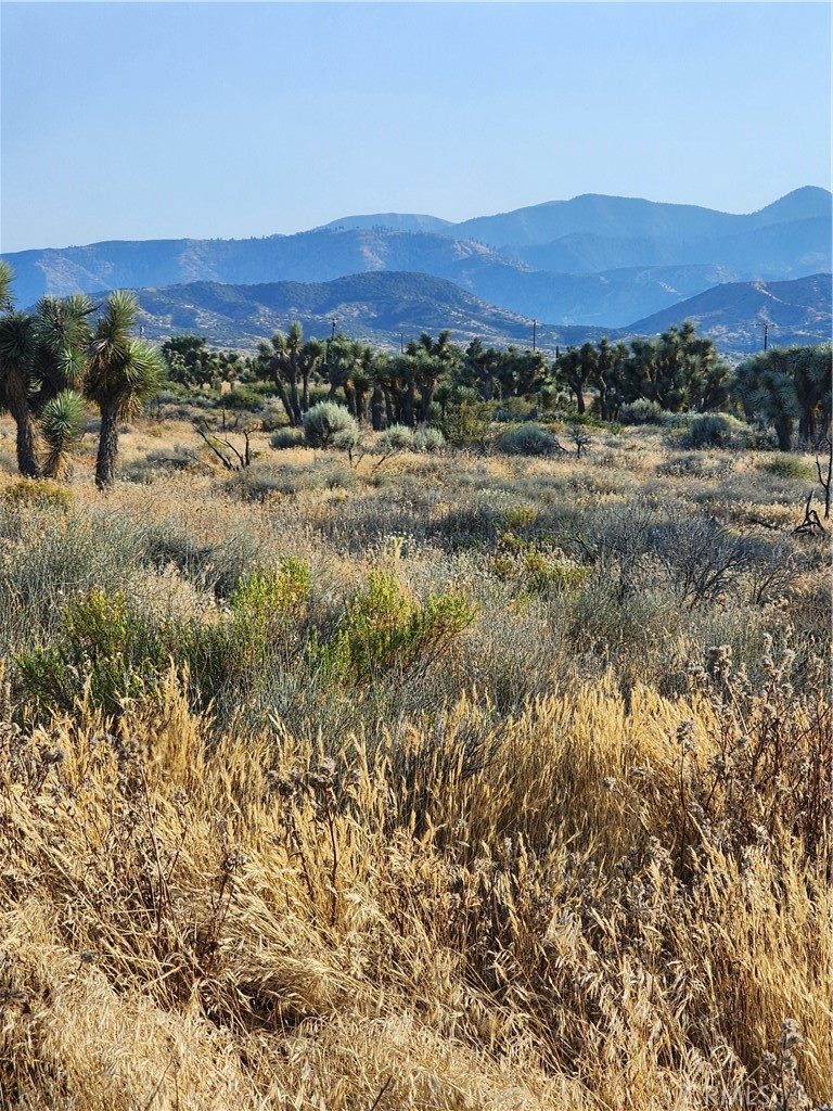 MLS #CV25255822 image #4