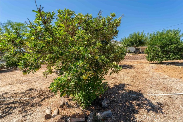 520 Woodland Hills Drive, Escondido CA: https://media.crmls.org/medias/ec2883de-c277-42ac-8356-1de10c384a71.jpg