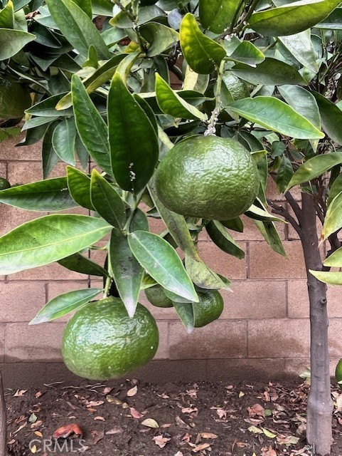 8640 Westman, Whittier CA: https://media.crmls.org/medias/ec28a986-6476-4bae-8350-bbf78c35c0f6.jpg