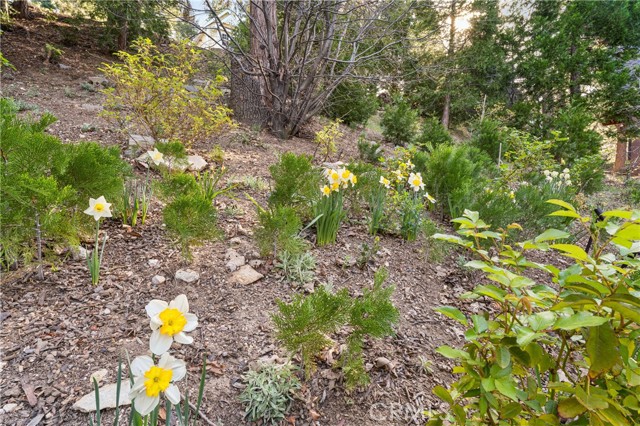 Detail Gallery Image 60 of 72 For 197 Massive Rd, Lake Arrowhead,  CA 92317 - 4 Beds | 3/1 Baths