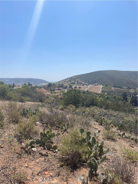1624 Siddall Drive, Vista CA: https://media.crmls.org/medias/ec2a7b0b-7218-4f87-9bbc-7679d014fd24.jpg