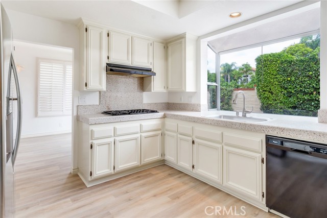 Gas Cooktop and Dishwasher