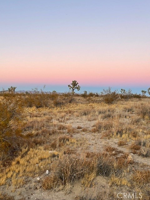 258 W Avenue U, Palmdale, California 93551, ,Land,For Sale,258 W Avenue U,CRSR24245326