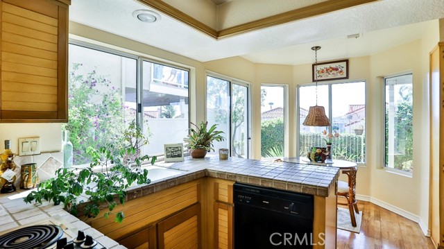 Detail Gallery Image 18 of 64 For 33611 Rising Tide Ct, Dana Point,  CA 92629 - 3 Beds | 2/1 Baths