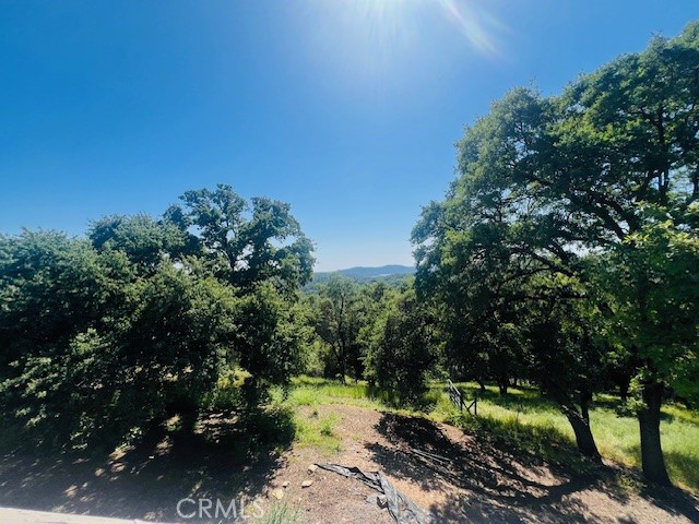 Detail Gallery Image 38 of 75 For 8697 Fraguero Rd, Sonora,  CA 95370 - 4 Beds | 2/1 Baths