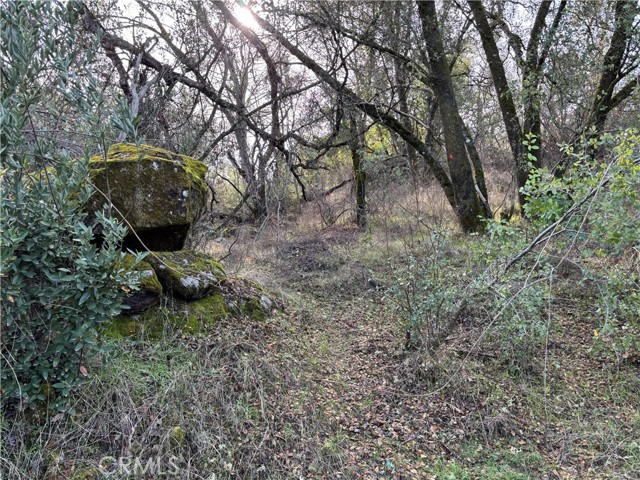 Detail Gallery Image 8 of 9 For 0 Daffodil Dr, Mariposa,  CA 95338 - – Beds | – Baths