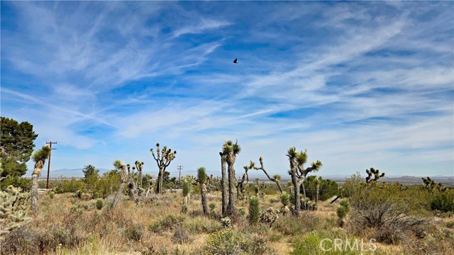 Detail Gallery Image 15 of 49 For 0 103rd St East Vicinity W14, –,  CA 93543 - – Beds | – Baths