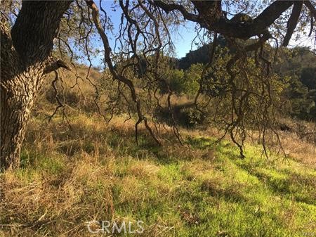 Detail Gallery Image 14 of 27 For 9 La Cruz Drive, Temecula,  CA 92590 - – Beds | – Baths