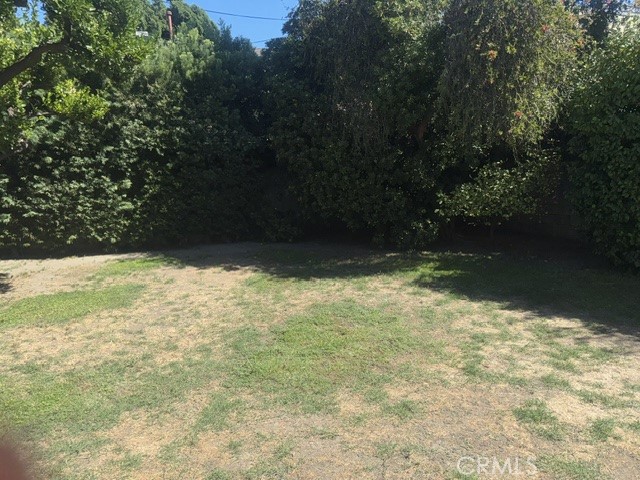 4648 Kraft photo 11