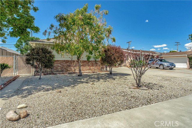Low Maintenance front yard with beautiful curb appeal.