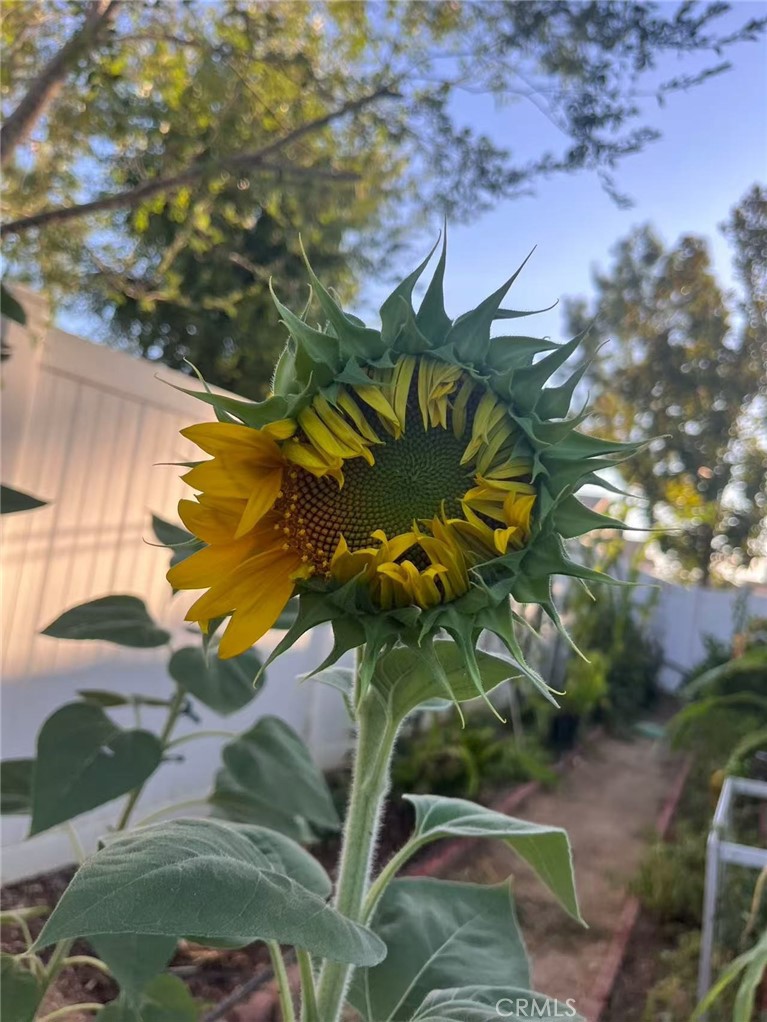 MLS #WS25271554 image #20