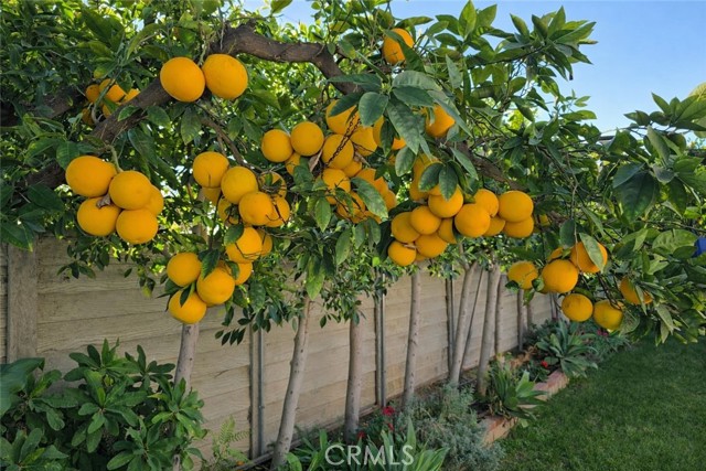 Detail Gallery Image 20 of 20 For 16264 Kalisher St, Granada Hills,  CA 91344 - 3 Beds | 2 Baths