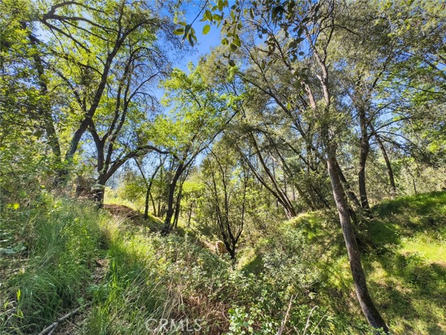 Detail Gallery Image 16 of 42 For 22666 Lower Quail Mine Rd, Sonora,  CA 95370 - 2 Beds | 1 Baths