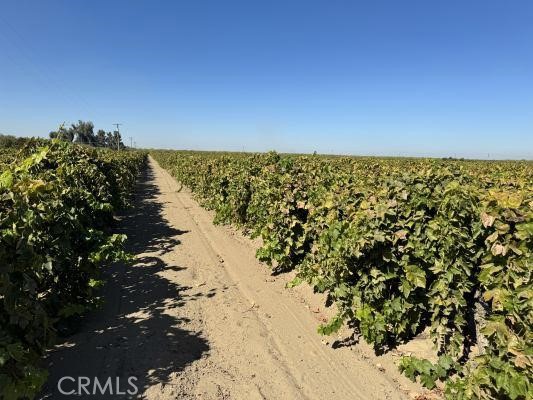 Front Image Thumbnail for CRFR25250829