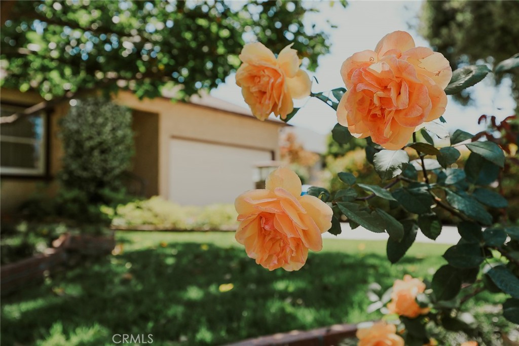 https://media.crmls.org/medias/ec5de4bc-615b-401a-a26f-75c3af56ab1e.jpg?preset=X-Large