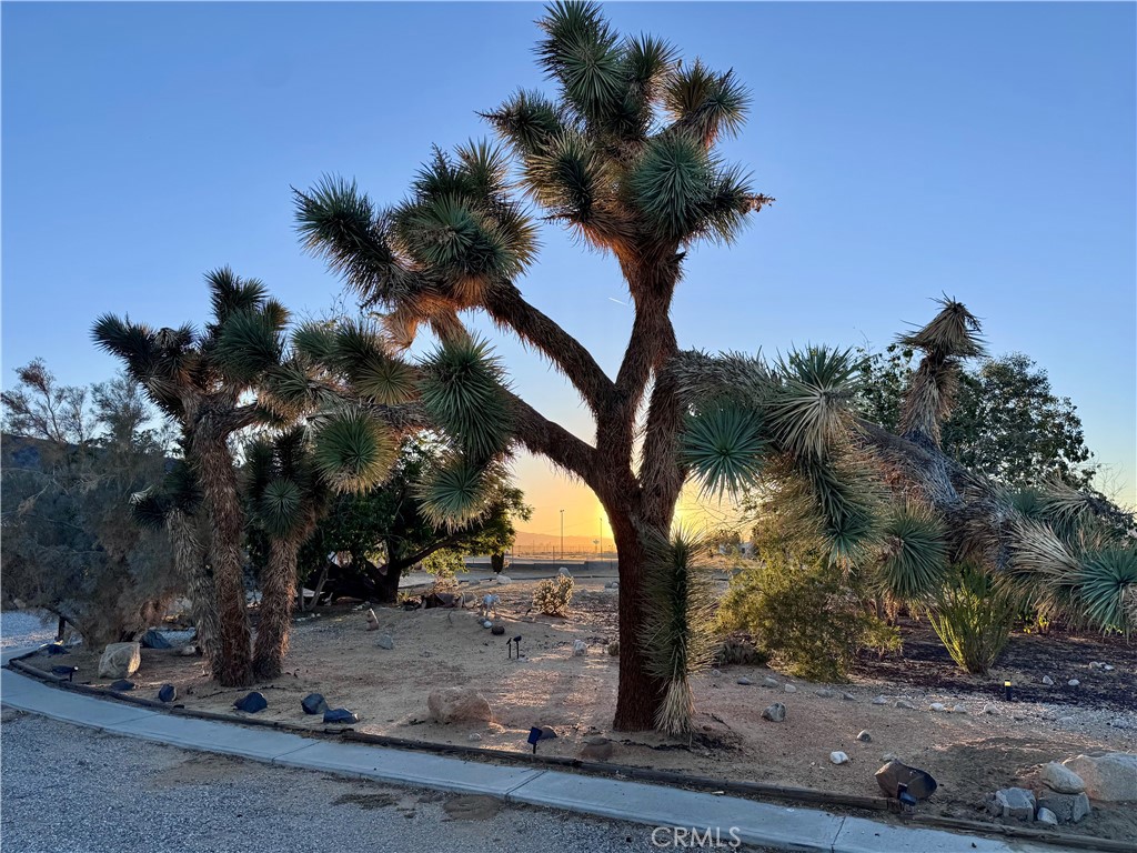 MLS #OC25244516 image #22