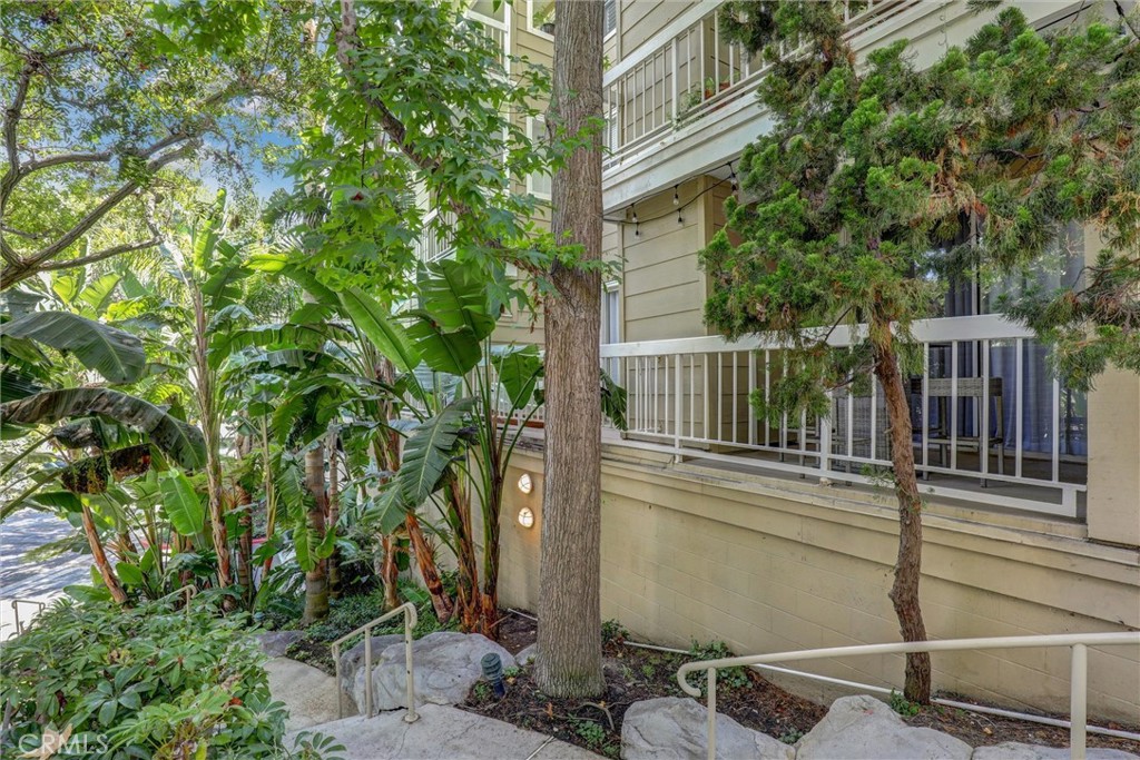 Ec66abc8 6a41 4376 Aafa 9da2bd062aff