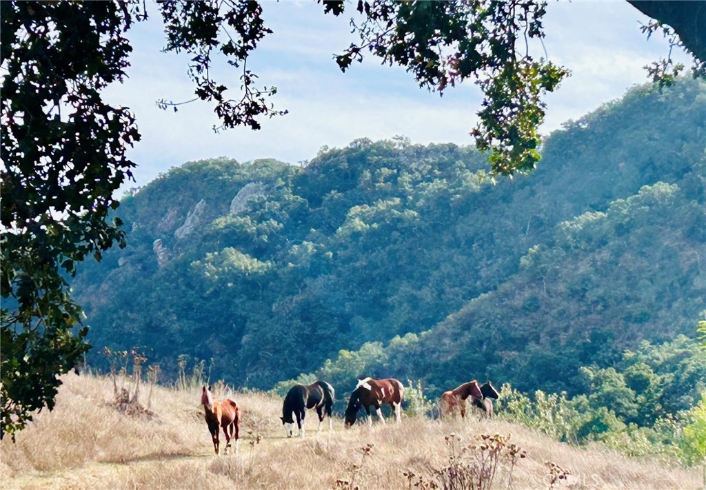 https://media.crmls.org/medias/ec695b6d-e8f6-4a01-8222-cb9ffef6eb2c.jpg?preset=X-Large