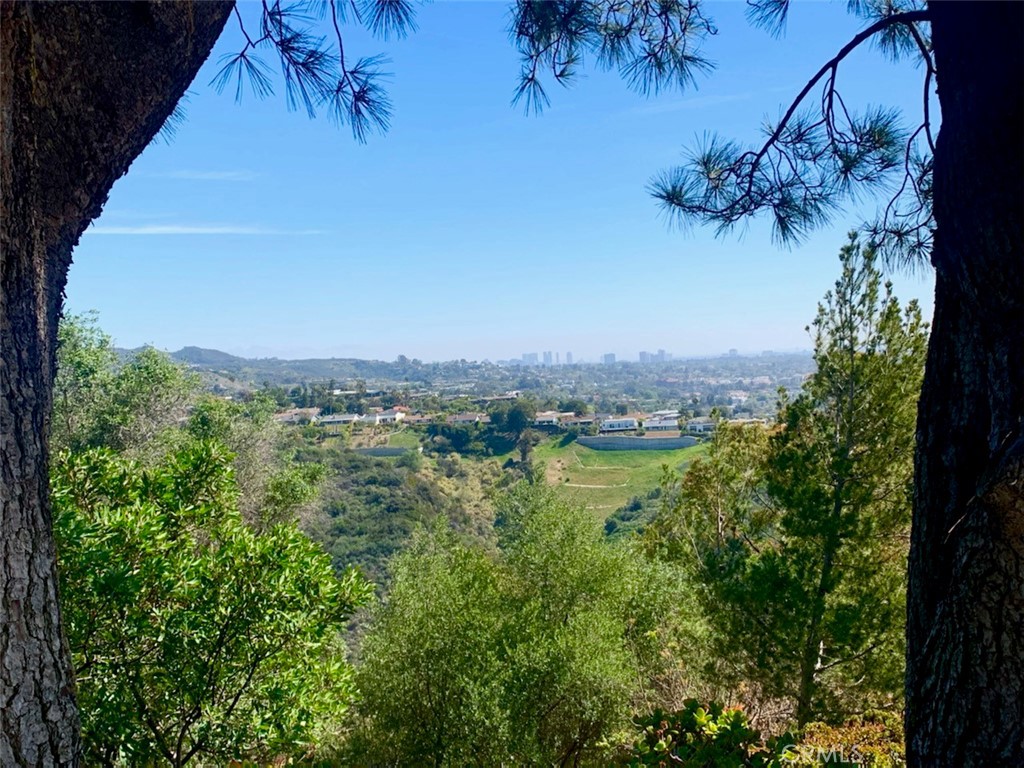 City view of Century City and downtown Los Angeles