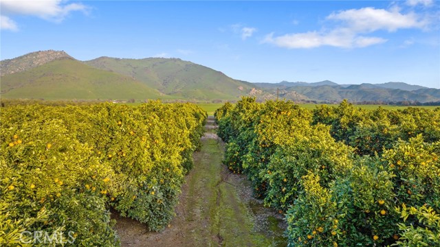 Detail Gallery Image 40 of 51 For 19400 398, Woodlake,  CA 93286 - – Beds | – Baths