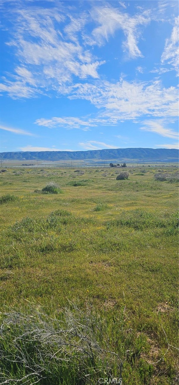 Front Image Thumbnail for CRSR25272696