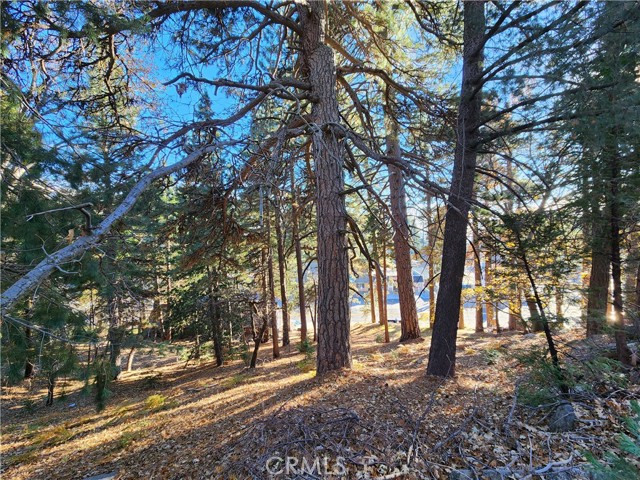 0 Lovers Lane, Rimforest CA: https://media.crmls.org/medias/ec80f9f0-ff7f-4d0c-9401-74303b02a868.jpg