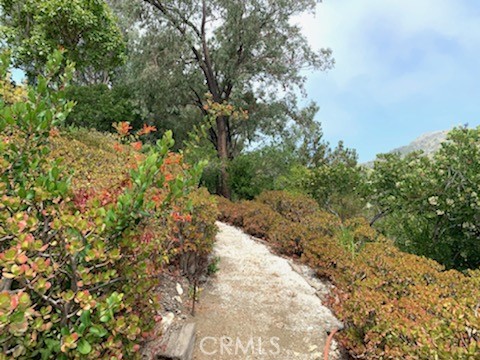 Walk your own path on your lot