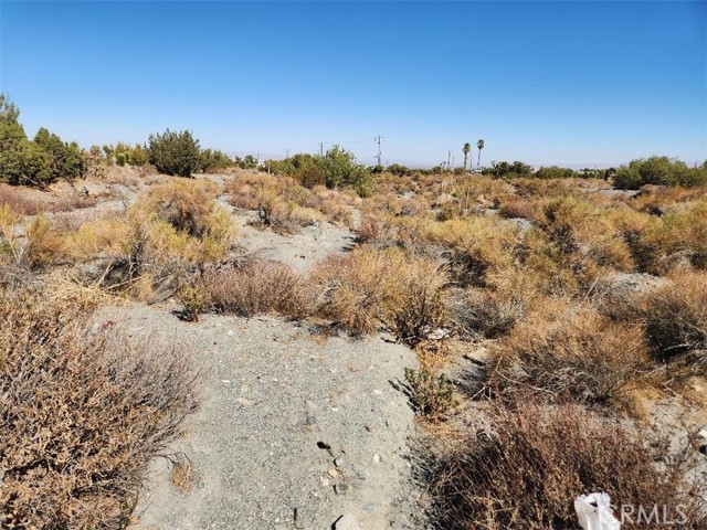 Detail Gallery Image 5 of 12 For 12 Cambria Rd, Pinon Hills,  CA 92372 - – Beds | – Baths