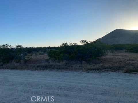 MLS #DW25201758 image #7