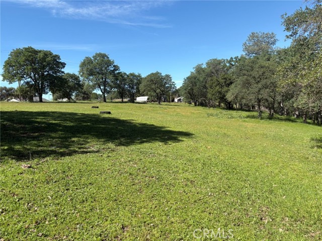 Detail Gallery Image 12 of 26 For 3465 Foothill Bld, Oroville,  CA 95966 - – Beds | – Baths