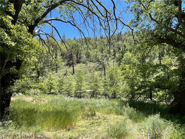 Detail Gallery Image 1 of 6 For 0 Grindelwald Drive, Tehachapi,  CA 93561 - – Beds | – Baths