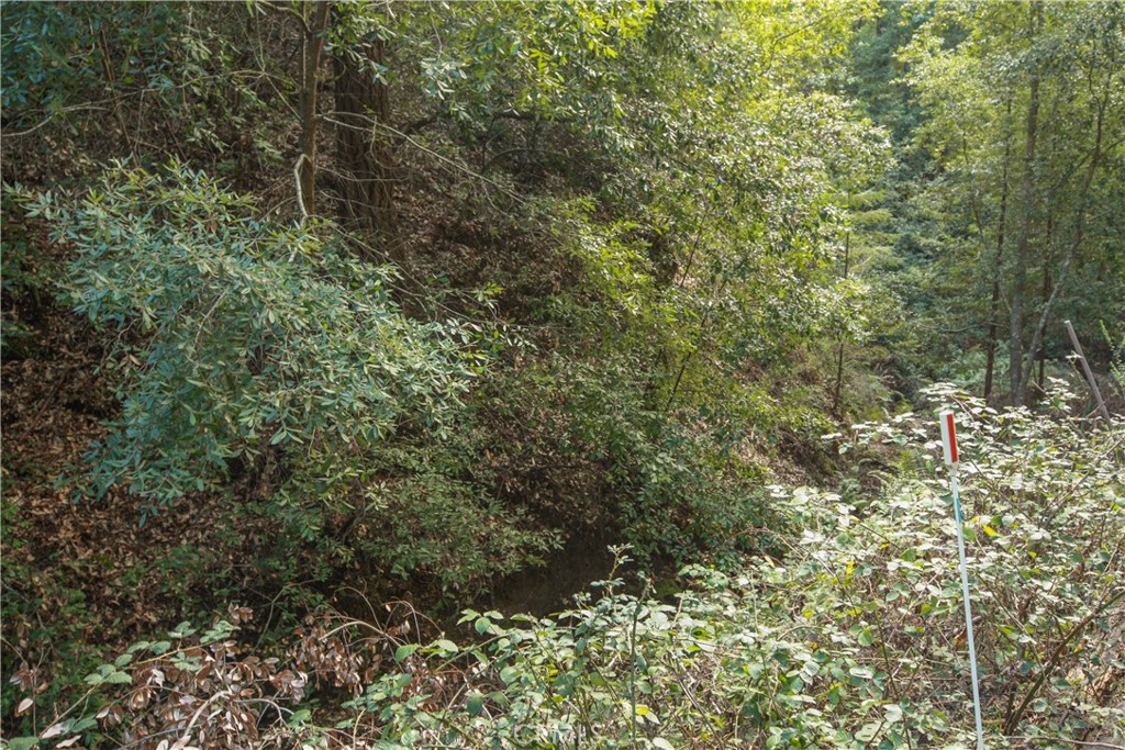 MLS #OC25221127 image #10