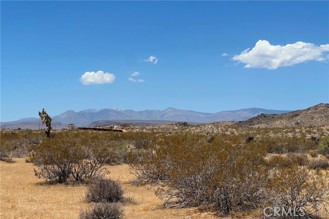 Detail Gallery Image 3 of 10 For 0 Willie Way, Joshua Tree,  CA 92252 - – Beds | – Baths